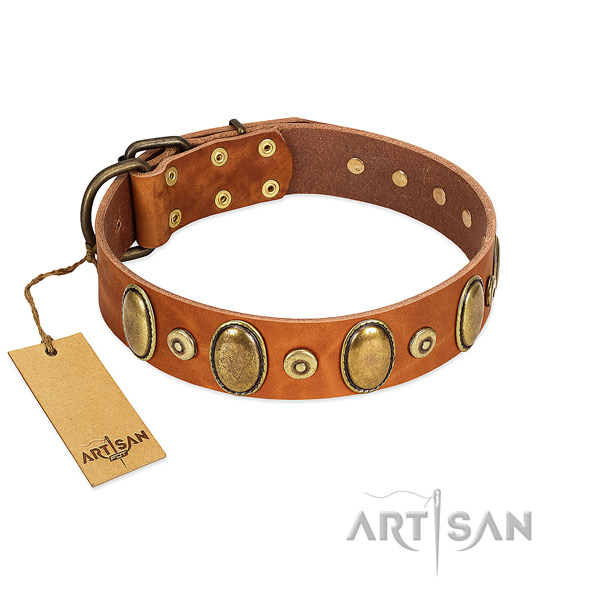 Rust resistant traditional buckle on dog collar for stylish walking