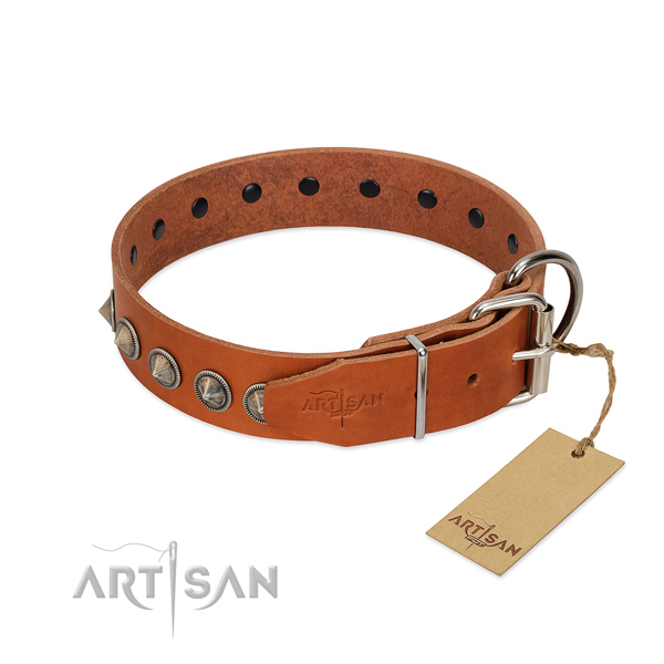 Unusual decorated full grain natural leather dog collar for stylish walking
