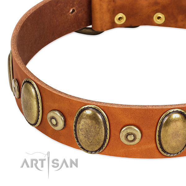 Designer full grain natural leather collar for your impressive doggie