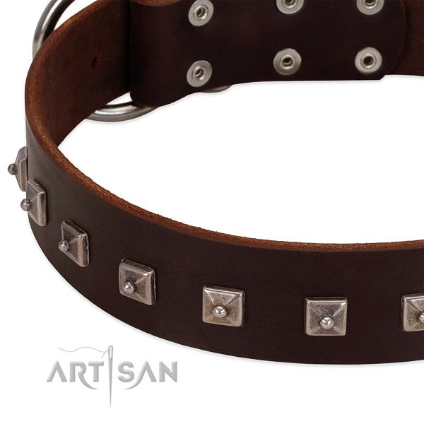 Quality natural leather dog collar with trendy embellishments