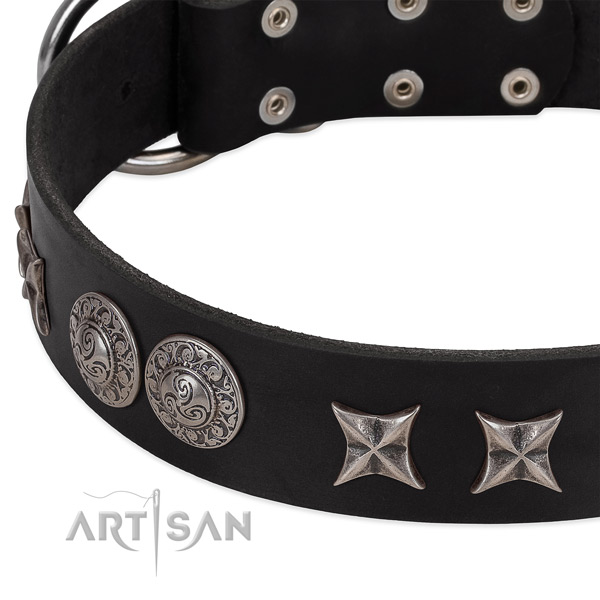 Soft to touch genuine leather dog collar with embellishments