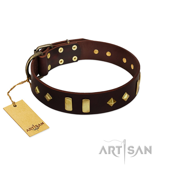 Full grain leather dog collar with rust resistant D-ring for daily walking
