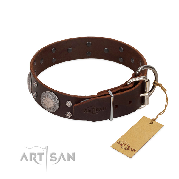 Corrosion resistant buckle on leather dog collar for everyday walking