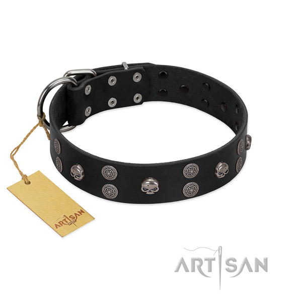 Soft full grain leather dog collar with decorations for daily use