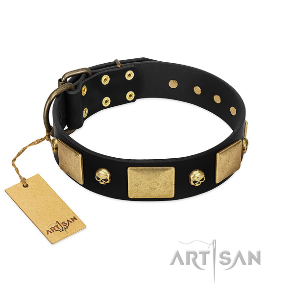 Rust resistant embellishments on dog collar for daily use