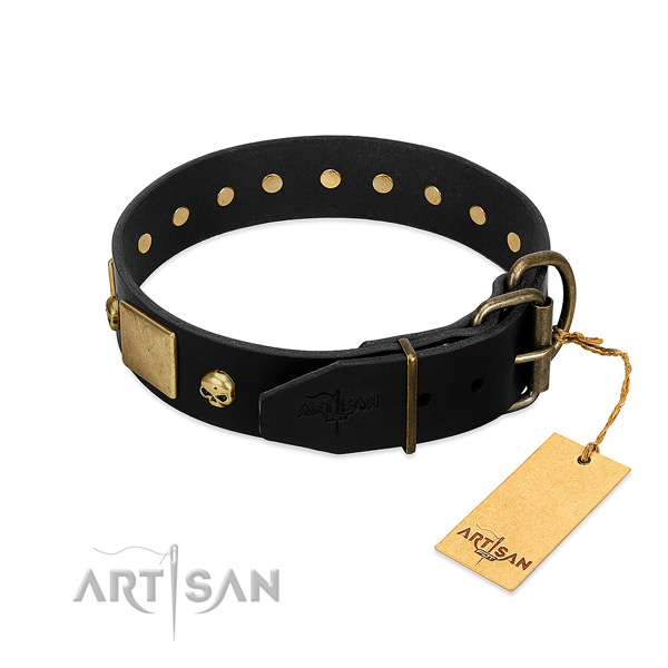 Strong embellishments on basic training collar for your pet