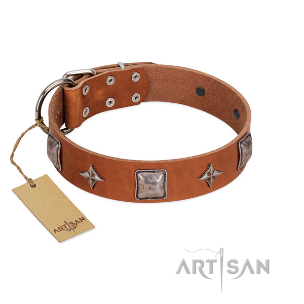 Top-notch full grain leather dog collar with embellishments for comfortable wearing