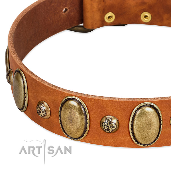Full grain genuine leather dog collar with stylish design studs