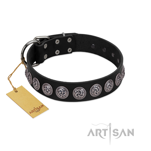 Decorated leather dog collar with corrosion proof traditional buckle