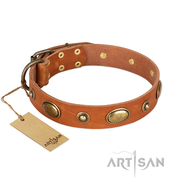 Incredible natural leather collar for your dog