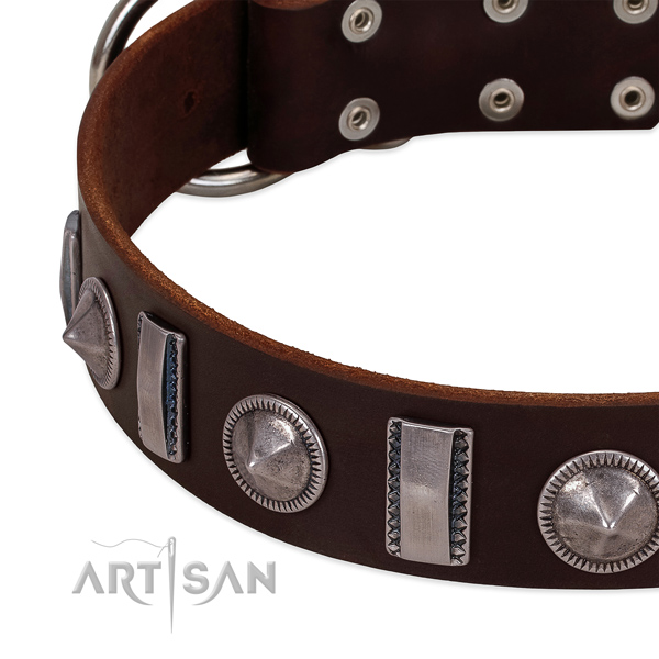 Extraordinary studded natural leather dog collar for fancy walking