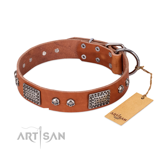 Easy wearing full grain leather dog collar for basic training your canine