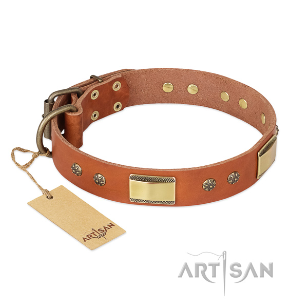Perfect fit full grain natural leather collar for your dog