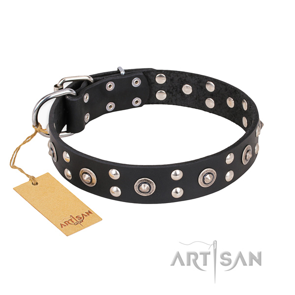 Comfortable wearing significant dog collar with reliable hardware
