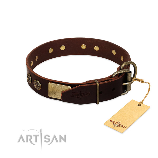 Rust resistant adornments on full grain genuine leather dog collar for your pet