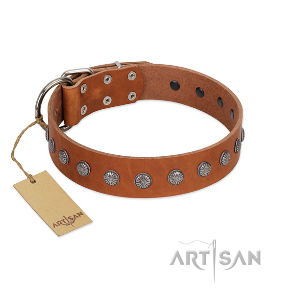 Inimitable embellishments on leather collar for comfortable wearing your pet
