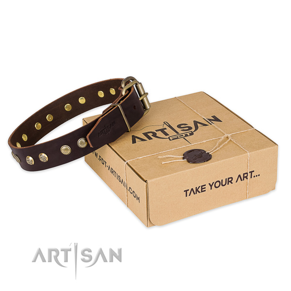 Strong fittings on full grain leather collar for your impressive doggie