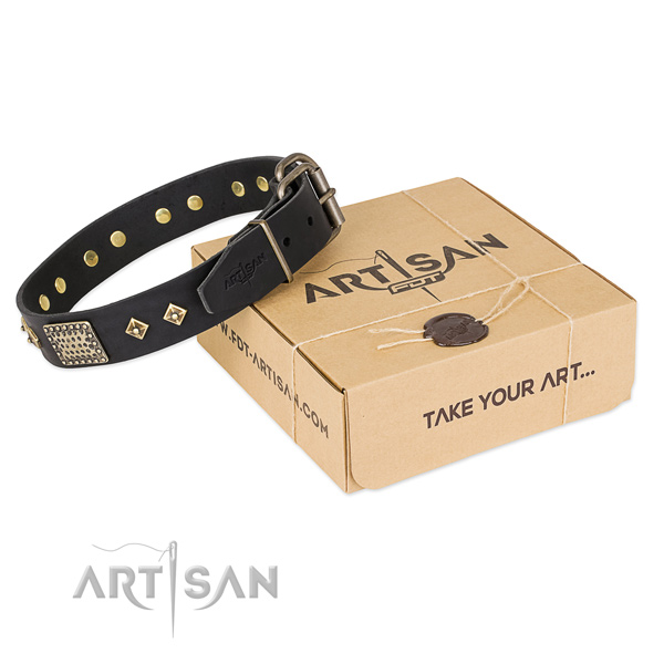 Stylish design genuine leather collar for your handsome four-legged friend
