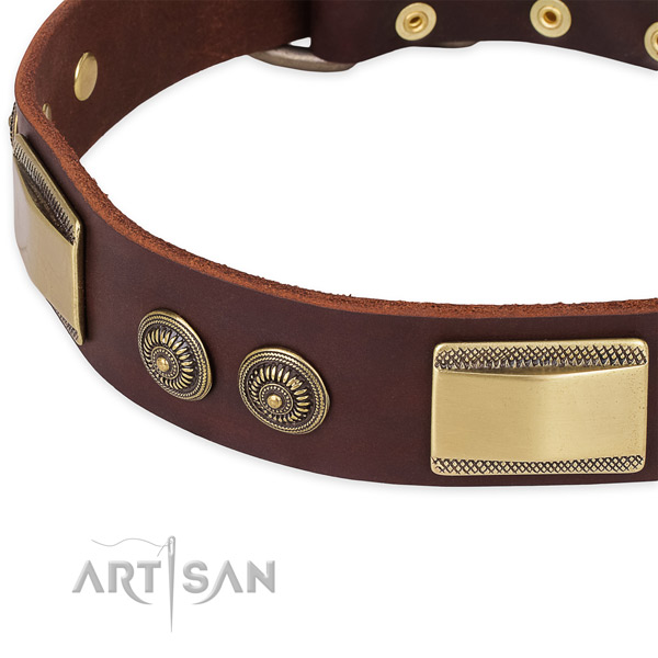 Durable embellishments on natural genuine leather dog collar for your dog