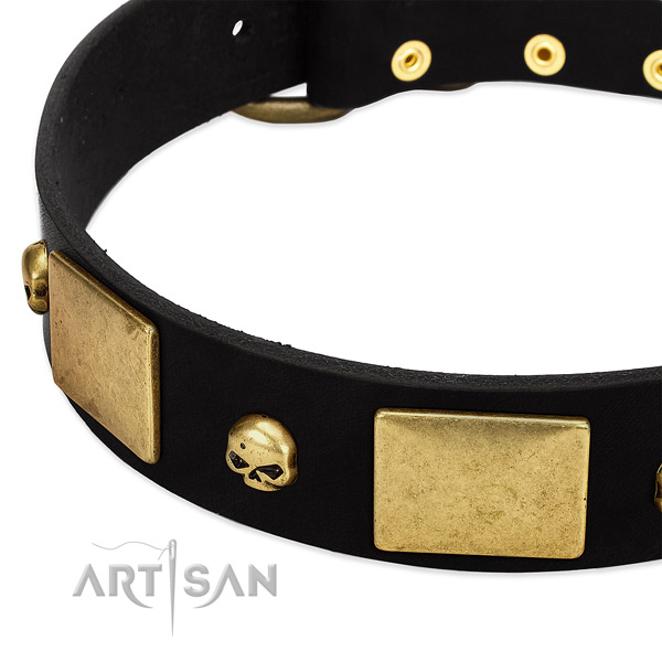 Stunning full grain leather collar for your beautiful four-legged friend