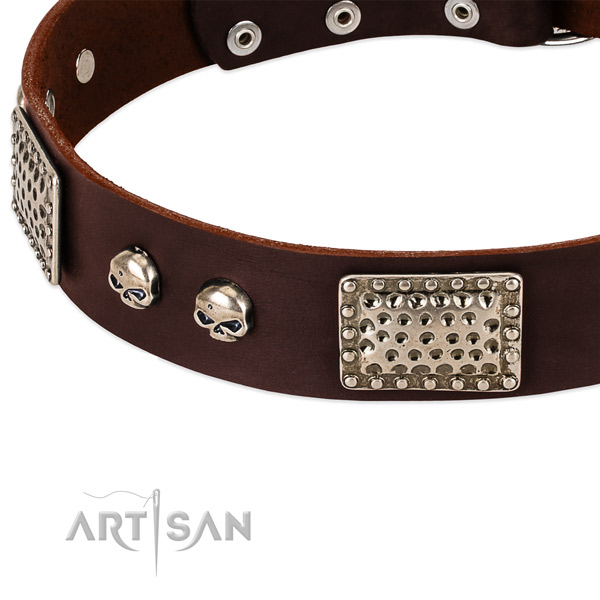 Corrosion proof adornments on genuine leather dog collar for your canine