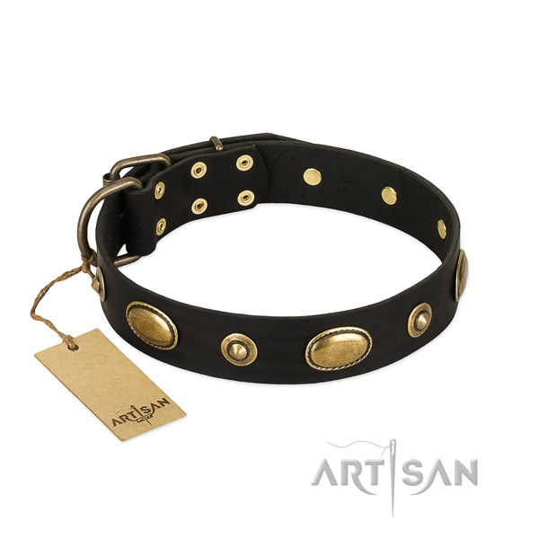 Significant full grain leather collar for your doggie