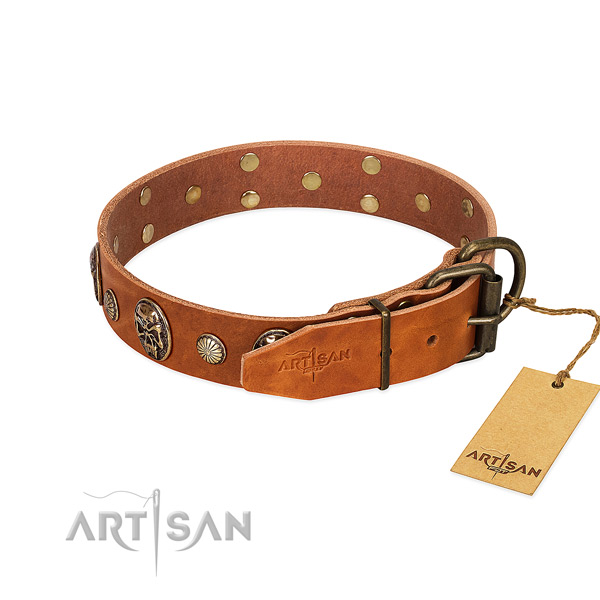 Strong buckle on genuine leather collar for walking your doggie