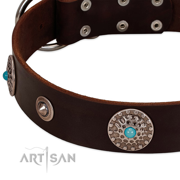 Convenient collar of genuine leather for your impressive four-legged friend