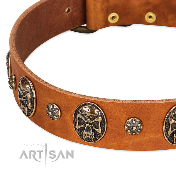Corrosion proof buckle on genuine leather dog collar for your pet