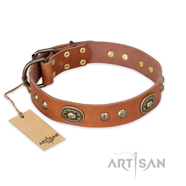 Unusual leather dog collar for daily walking