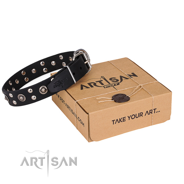 Everyday use dog collar with Exceptional corrosion resistant studs
