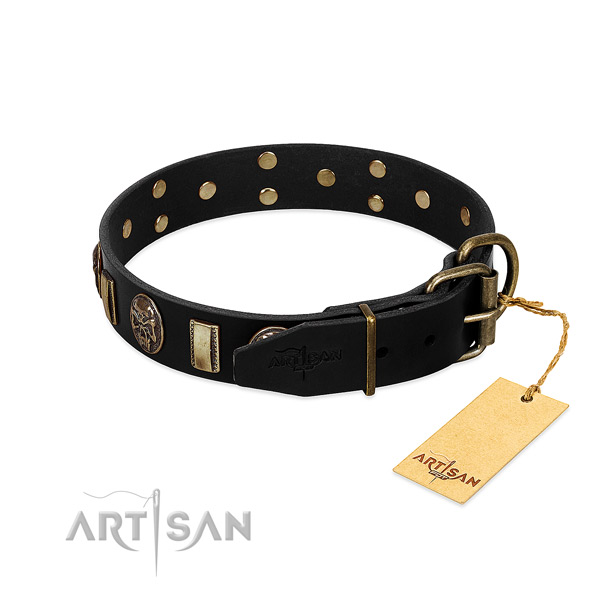 Leather dog collar with reliable hardware and studs