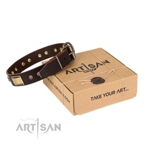 Remarkable genuine leather collar for your stylish pet