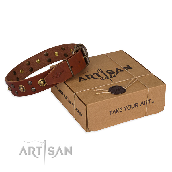 Strong buckle on full grain natural leather collar for your stylish dog