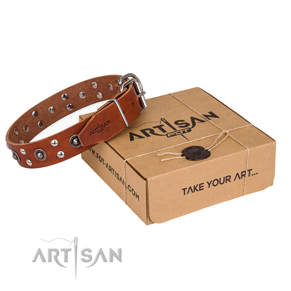 Rust-proof traditional buckle on full grain leather collar for your impressive doggie