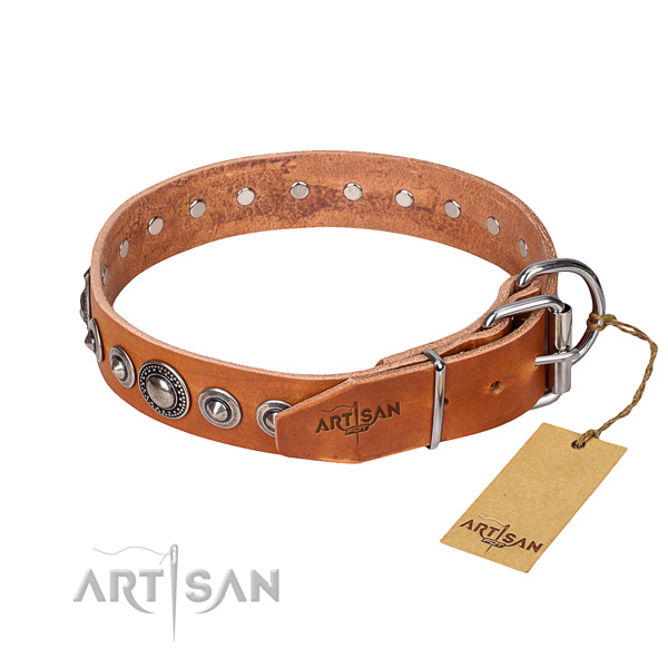 Leather dog collar made of reliable material with rust-proof adornments