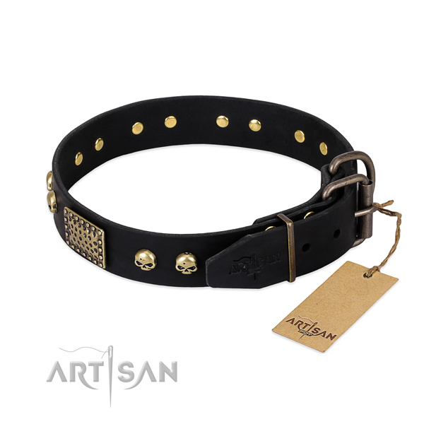 Reliable studs on stylish walking dog collar