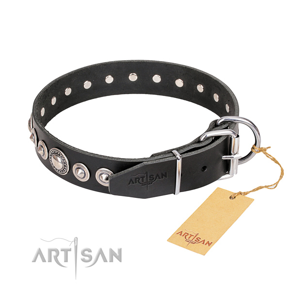 Reliable adorned dog collar of full grain natural leather