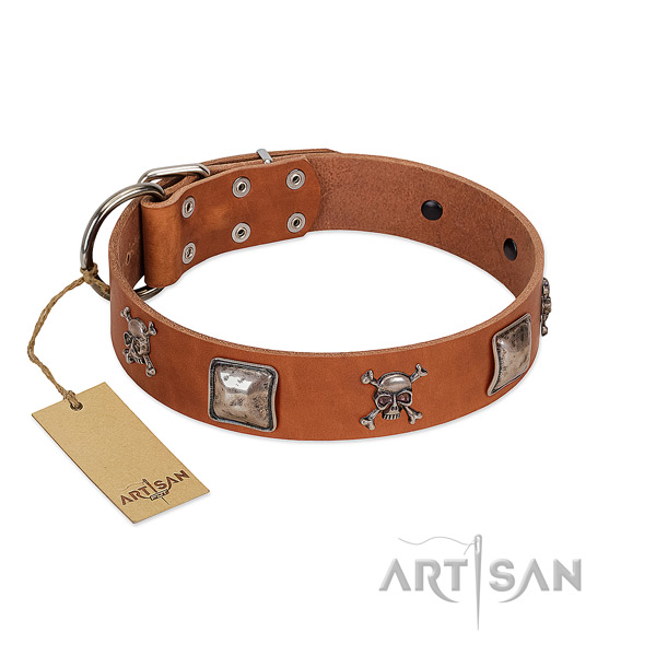 Best quality dog collar handmade for your lovely doggie