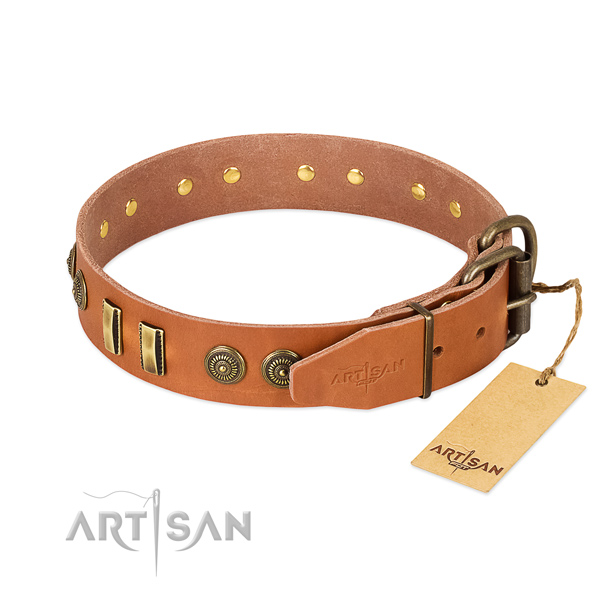 Corrosion proof traditional buckle on full grain genuine leather dog collar for your doggie
