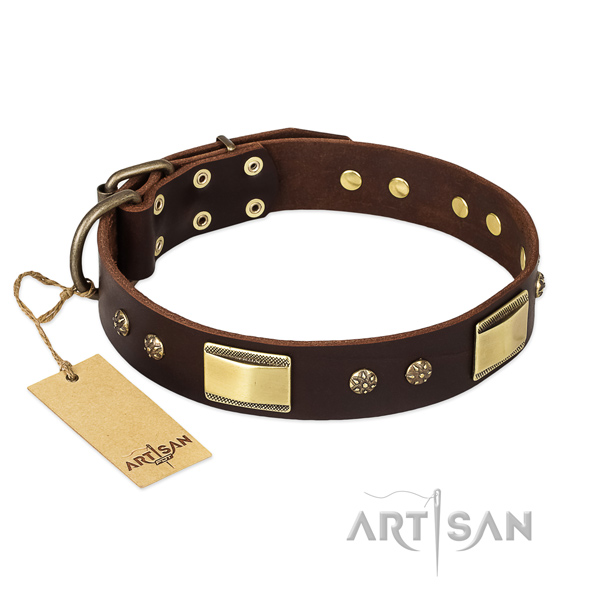 Full grain natural leather dog collar with durable D-ring and studs