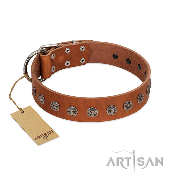 Designer studs on genuine leather collar for easy wearing your dog