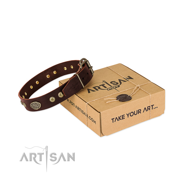 Rust-proof adornments on genuine leather dog collar for your four-legged friend