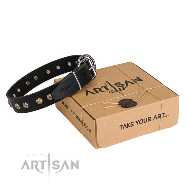 Strong full grain genuine leather dog collar handcrafted for everyday walking