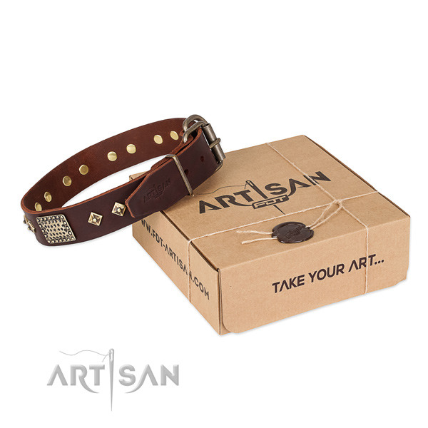 Inimitable genuine leather collar for your handsome canine