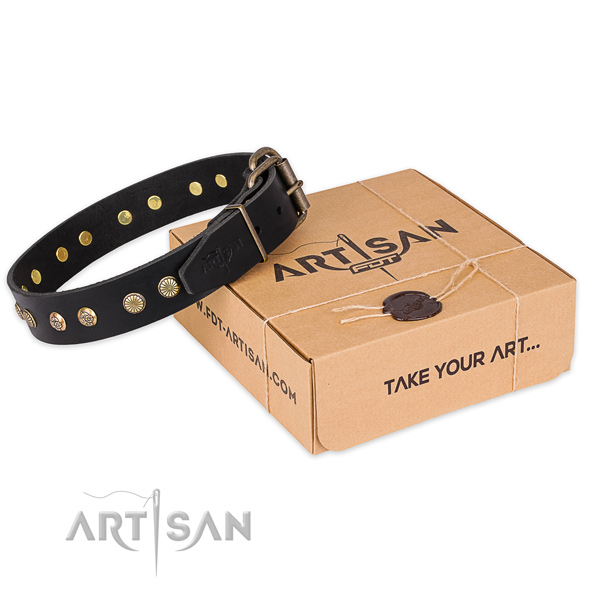 Strong fittings on genuine leather collar for your attractive four-legged friend