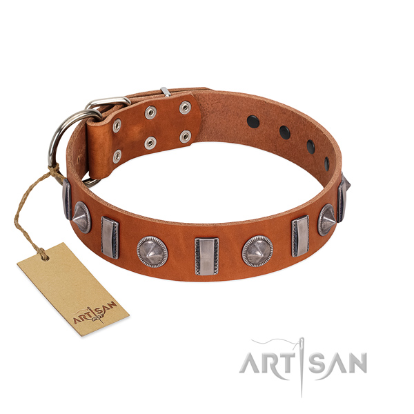 Soft genuine leather dog collar with studs for stylish walking