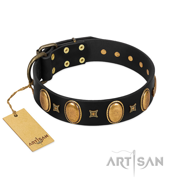 Full grain leather dog collar with stylish design decorations for walking
