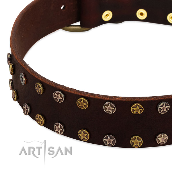 Everyday use genuine leather dog collar with stylish embellishments