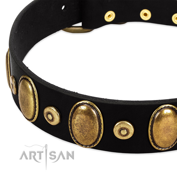 Decorated leather collar for your handsome doggie